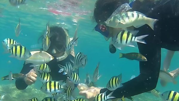 snorkeling pangandaran 6