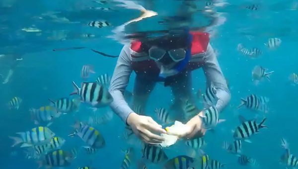 snorkeling pangandaran 7